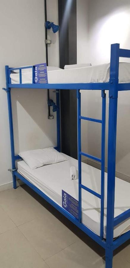 Gaia Hostel Rio de Janeiro Dış mekan fotoğraf